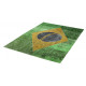 Kusový koberec Torino flags 420 BRAZIL