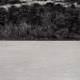 AKCE: 160x230 cm Kusový koberec Domino Aisha Berber Monochrome