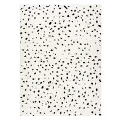 AKCE: 200x290 cm Kusový koberec Mode 8508 cream/black