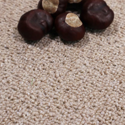 Běhoun Rambo-Bet 71