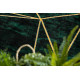 AKCE: 240x330 cm Kusový koberec Emerald 1022 green and gold