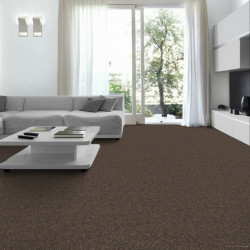 Metrážový koberec e-blitz 45