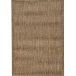 Běhoun Giza 1410 Brown