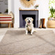 Běhoun Zagora 4512 Beige