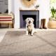 Běhoun Zagora 4513 Beige