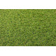 AKCE: 80x220 cm Umělá tráva Robina metrážní