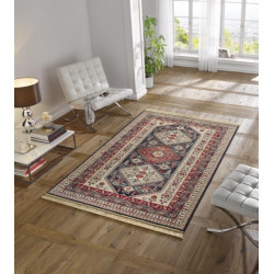 AKCE: 200x300 cm Kusový koberec Majestic 102577