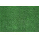 AKCE: 110x790 cm Metrážní umělá tráva Ascot (Tosca)