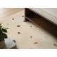 AKCE: 160x235 cm Dětský koberec Adventures 106210 Cream Multicolor