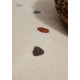 AKCE: 160x235 cm Dětský koberec Adventures 106210 Cream Multicolor