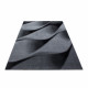 AKCE: 160x230 cm Kusový koberec Parma 9240 black