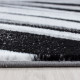 AKCE: 200x290 cm Kusový koberec Parma 9210 black