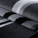AKCE: 200x290 cm Kusový koberec Parma 9210 black