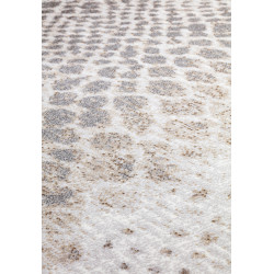 AKCE: 120x170 cm Kusový koberec Piazzo 12263 910