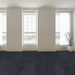 Metrážový koberec Primo 78 antracit, zátěžový