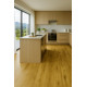 PVC podlaha - lino Texalino Supreme 667M Tasmanian Oak  - dub