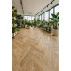 PVC podlaha - lino Flexar Nerok 0476 Noma Miel