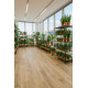PVC podlaha Flex Nerok 0476 Noma Miel
