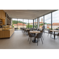 PVC podlaha - lino AladinTex Ultra 2253