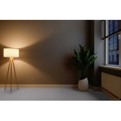 AKCE: 50x80 cm Kusový koberec Eton šedý 73 - neúčtujeme odřezky z role - obšitý ze všech stran