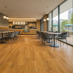 PVC podlaha - lino Master X Premium 3802