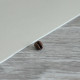 PVC podlaha - lino AladinTex 1727 Noma
