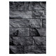 AKCE: 200x290 cm Kusový koberec Parma 9250 black