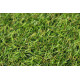 AKCE: 100x100 cm Umělá tráva Robina metrážní