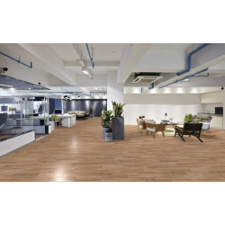 AKCE: 400x650 cm PVC podlaha - lino Asolo Wood French Oak grey beige  - dub