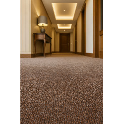 Čistící zóna Parijs DB 93