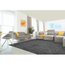 AKCE: 100x100 cm Kusový koberec Color Shaggy šedý čtverec