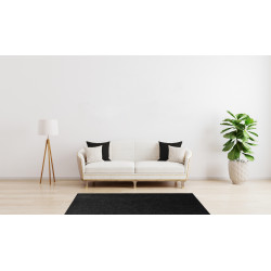 AKCE: 120x170 cm Kusový koberec Eton černý 78