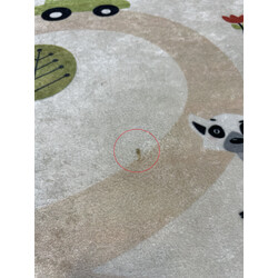 POŠKOZENÝ Dětský kusový koberec Bambino 1165 Zoo