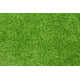 AKCE: 400x250 cm Umělá tráva Danny Green