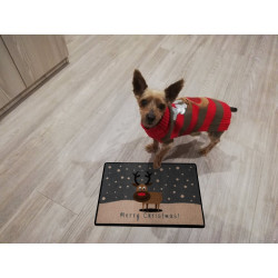 AKCE: 40x60 cm Rohožka Merry Christmas - Sob 103045 - na ven i na doma