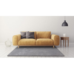 AKCE: 80x150 cm Kusový koberec Dolce Vita 01/SSS