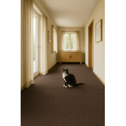 Čistící zóna Parijs 10 hnědočervená