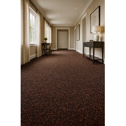 Čistící zóna Robust 132 hnědá