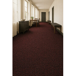 Čistící zóna Robust 139 červená