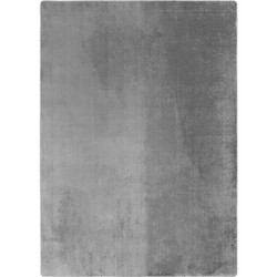 Běhoun Joy 1400 silver