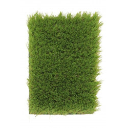 Kusový travní koberec Botanic – na ven i na doma