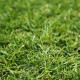 Metrážní umělá tráva Profi Garden