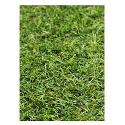 Kusový travní koberec Profi Garden