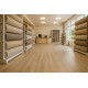 PVC podlaha - lino Texalino Supreme 611M Stamford Oak - dub