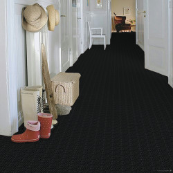 Čistící zóna Boomerang 50 černá