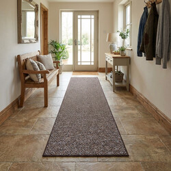 Běhoun Bohemia hnědý