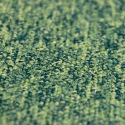 Kobercový čtverec Coral 58376-50 zelený 50 x 50 cm