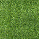 Umělá tráva Gazon