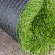 Umělá tráva Gazon