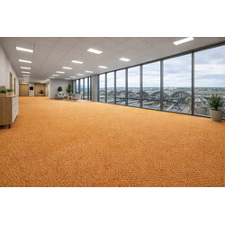 Metrážový koberec e-blitz 55